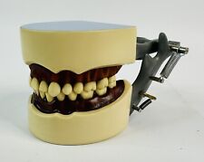 Columbia dentalform articulate for sale  Cedar Park