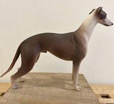 Brown greyhound dog for sale  ALRESFORD