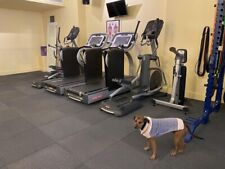 Star trac treadmill for sale  Brooklyn