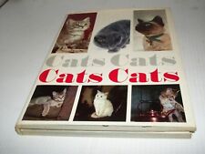 Cats cats cats for sale  Derby