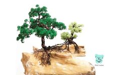 Albero bonsai con usato  Villanova Di Camposampiero