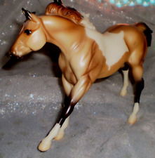 quarter paint horse for sale  Carmichael