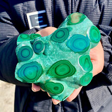 1,7 lb de tartaruga natural malaquita transparente aglomerado amostra mineral grossa comprar usado  Enviando para Brazil