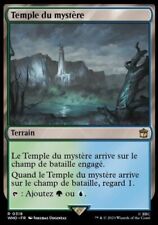 Temple mystère 318 d'occasion  Lesneven