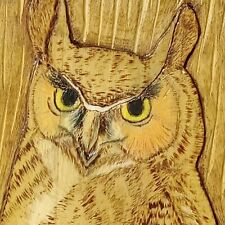 Vintage owl wall for sale  York