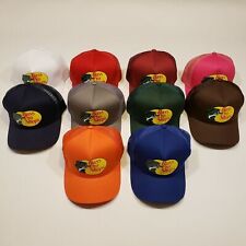 Boné de malha ajustável Snapback Bass Pro Shops chapéu pesca ao ar livre beisebol caminhoneiro comprar usado  Enviando para Brazil