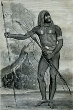 New guinea native d'occasion  Saint-Cyprien