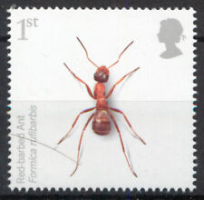 Red barbed ant for sale  LONDON