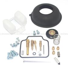 Carburettor repair kit for sale  Shipping to Ireland