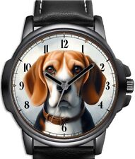 Beagle pet dog for sale  STOCKTON-ON-TEES