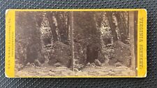 Virginia stereoview natural for sale  USA