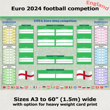 Euro 2024 football for sale  READING