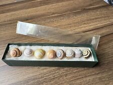 Snail shells boxed for sale  BIRMINGHAM