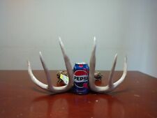 Whitetail deer antlers for sale  Ankeny