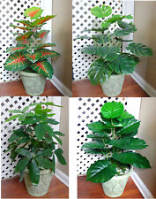 Artificial fake plants for sale  Indianapolis