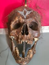Movie prop skull for sale  ST. HELENS