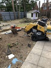 Stump grinding service for sale  REDCAR