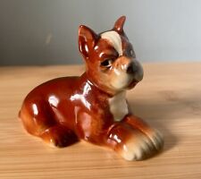 Goebel dog boxer for sale  PICKERING