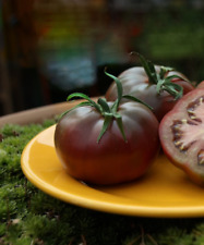 150 graines tomate d'occasion  Decize