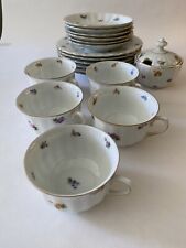 Rare austrian china for sale  CANTERBURY