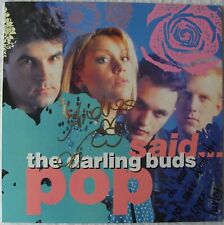 Darling buds pop for sale  UK