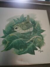 Vintage bird pictures for sale  BOLTON