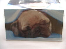 Adorable pug puppy for sale  Hotchkiss