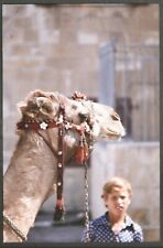 35mm slide camel for sale  MANCHESTER