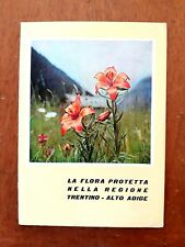 Flora protetta nel usato  Lucca