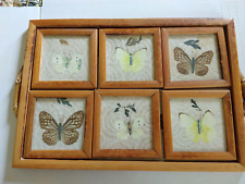 Vintage bamboo butterfly for sale  Capshaw