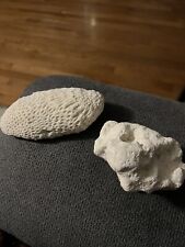 Pieces white coral for sale  Houghton
