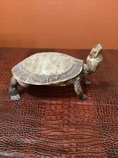 Vintage taxidermy turtle for sale  Casa Grande