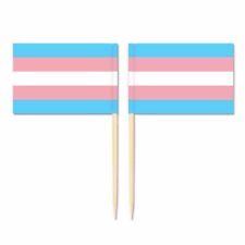 Transgender flag lgbtq for sale  ISLEWORTH