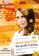 video2brain - Adobe Illustrator CS6 - Das große Training - 10 Stunden Video DVD gebraucht kaufen  Gummersbach