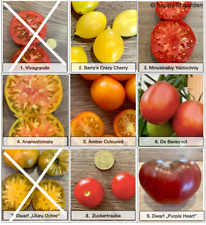 Sale tomatensamen set gebraucht kaufen  Schwetzingen