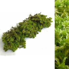 Fresh sphagnum moss for sale  GLASGOW