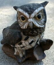 Great horned owl for sale  Jamestown