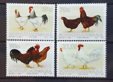Bophuthatswana 1993 chickens for sale  OLDHAM