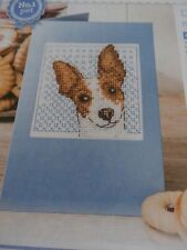 Rat terrier cross for sale  BASINGSTOKE