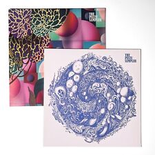 Discos de vinilo sampler de The Paste — primavera y verano de 2017 segunda mano  Embacar hacia Argentina