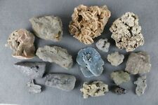 Lotto minerali fossili usato  Rho