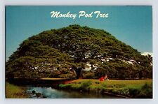 Postcard hawaii kahului for sale  Elk Grove