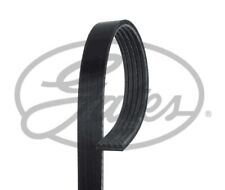 Gates drive belt for sale  NORTHAMPTON