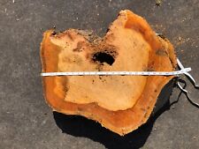 tree trunk slice for sale  WOLVERHAMPTON