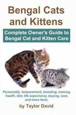 Bengal cats kittens for sale  Philadelphia