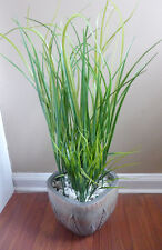 10 Long Grasses With Two  Bushes Artificial Plastic Plants Home Garden Landscape, used for sale  Shipping to South Africa