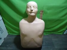 Laerdal anne torso for sale  Shipping to Ireland