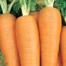 Danvers 126 carrot for sale  Minneapolis