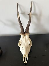 Roe deer half for sale  SOLIHULL