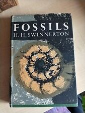 Geology. fossils h.h for sale  WEYMOUTH